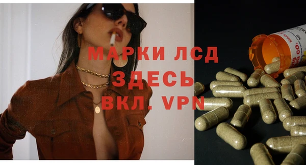 стаф Алексин