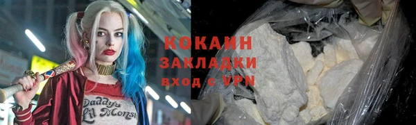 стаф Алексин