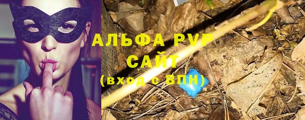 стаф Алексин