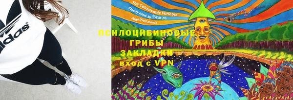 прущая мука Алзамай