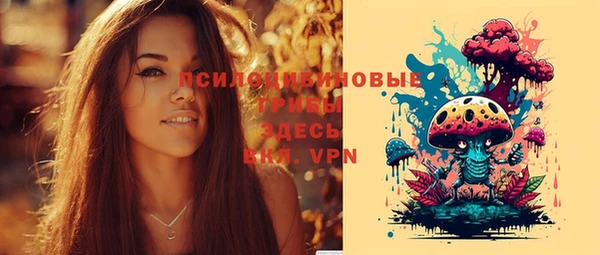 стаф Алексин