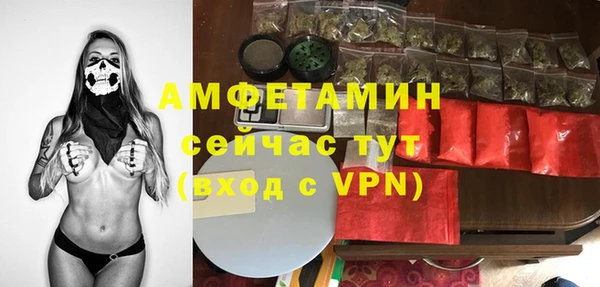 стаф Алексин