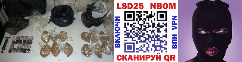 хочу Курчалой ЛСД экстази ecstasy