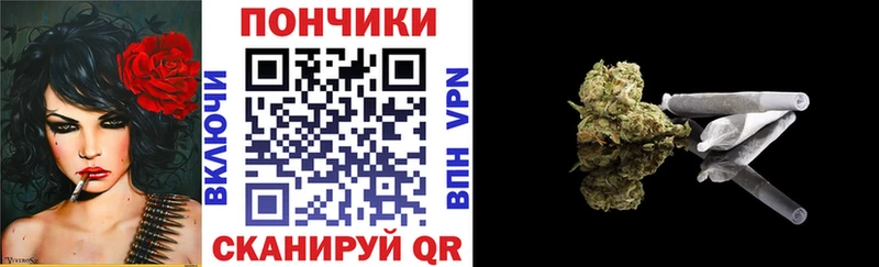 Канабис план  цена наркотик  kraken зеркало  Курчалой 